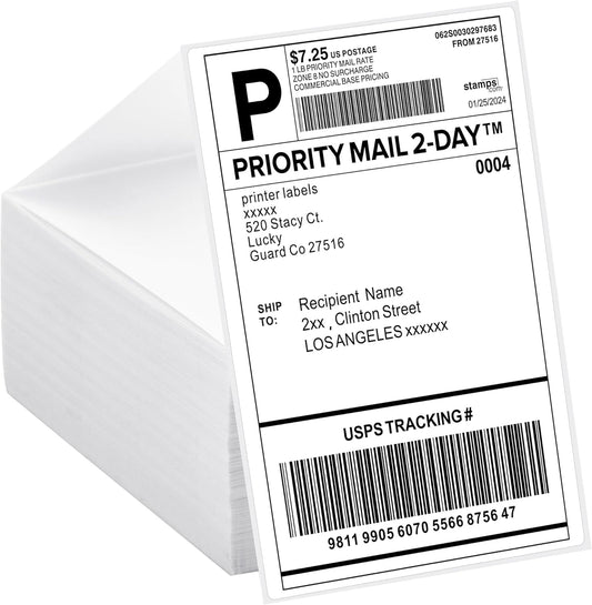 500 LuckyGuard 4x6 Thermal Labels: Crisp Prints, Perforated