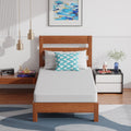 PayLessHere 6 Inch Twin XL Green Tea Memory Foam Mattress - Medium