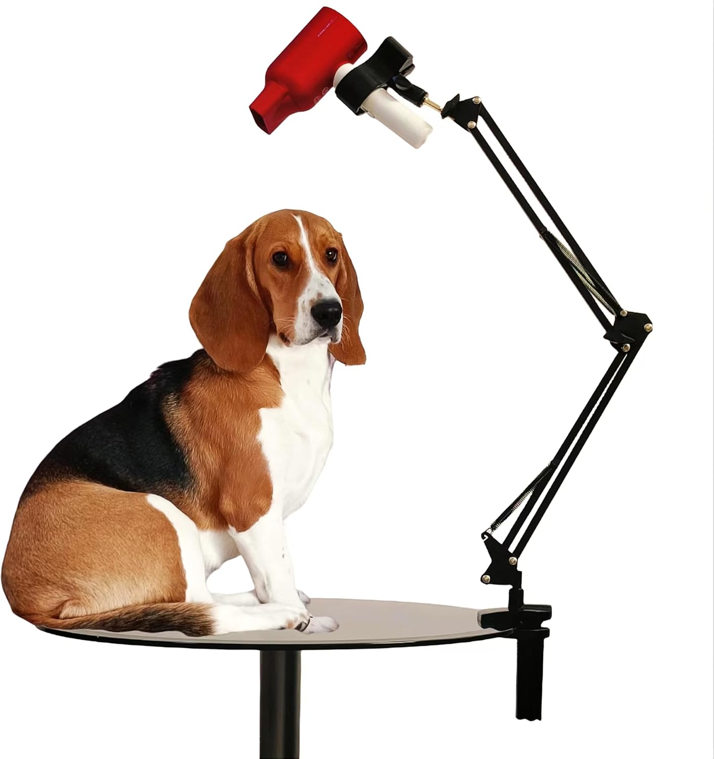 Hands-Free Dog Hair Dryer Stand by Joycalte - 360 Rotation