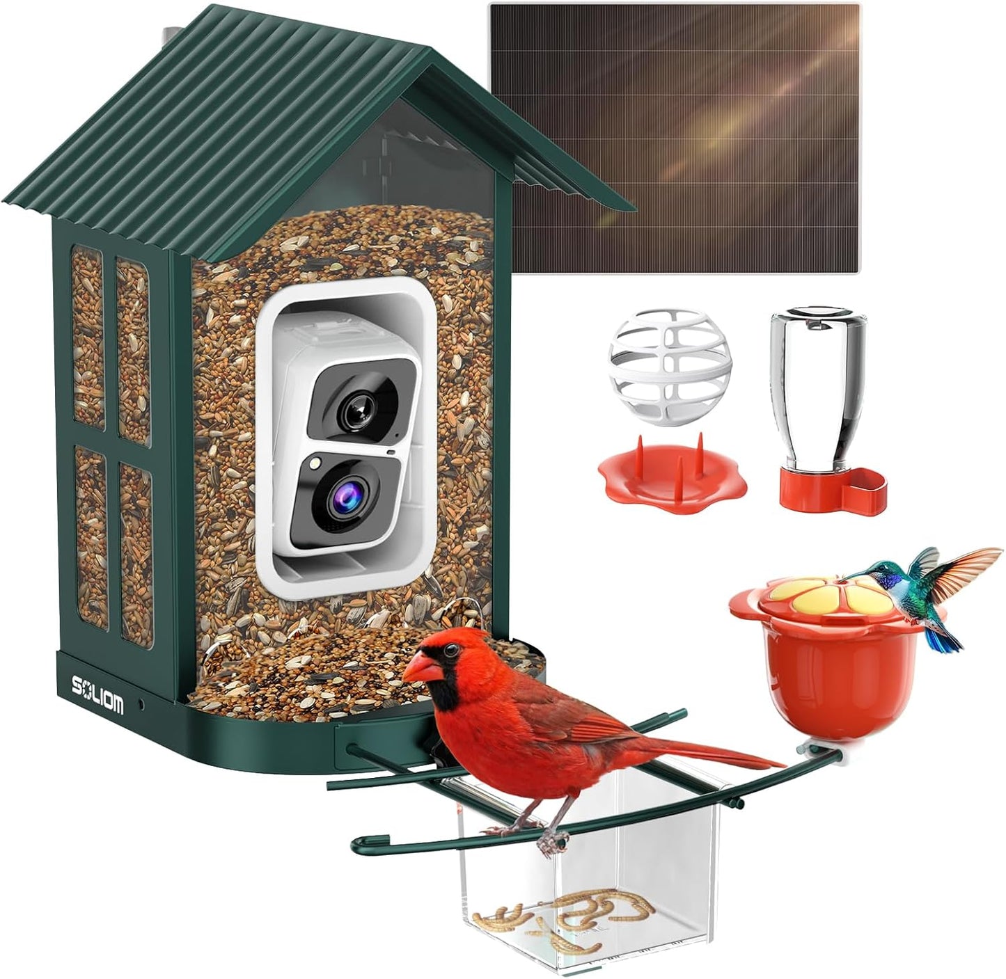 SOLIOM Bird Feeder with Camera for Stunning 2K Video Capture