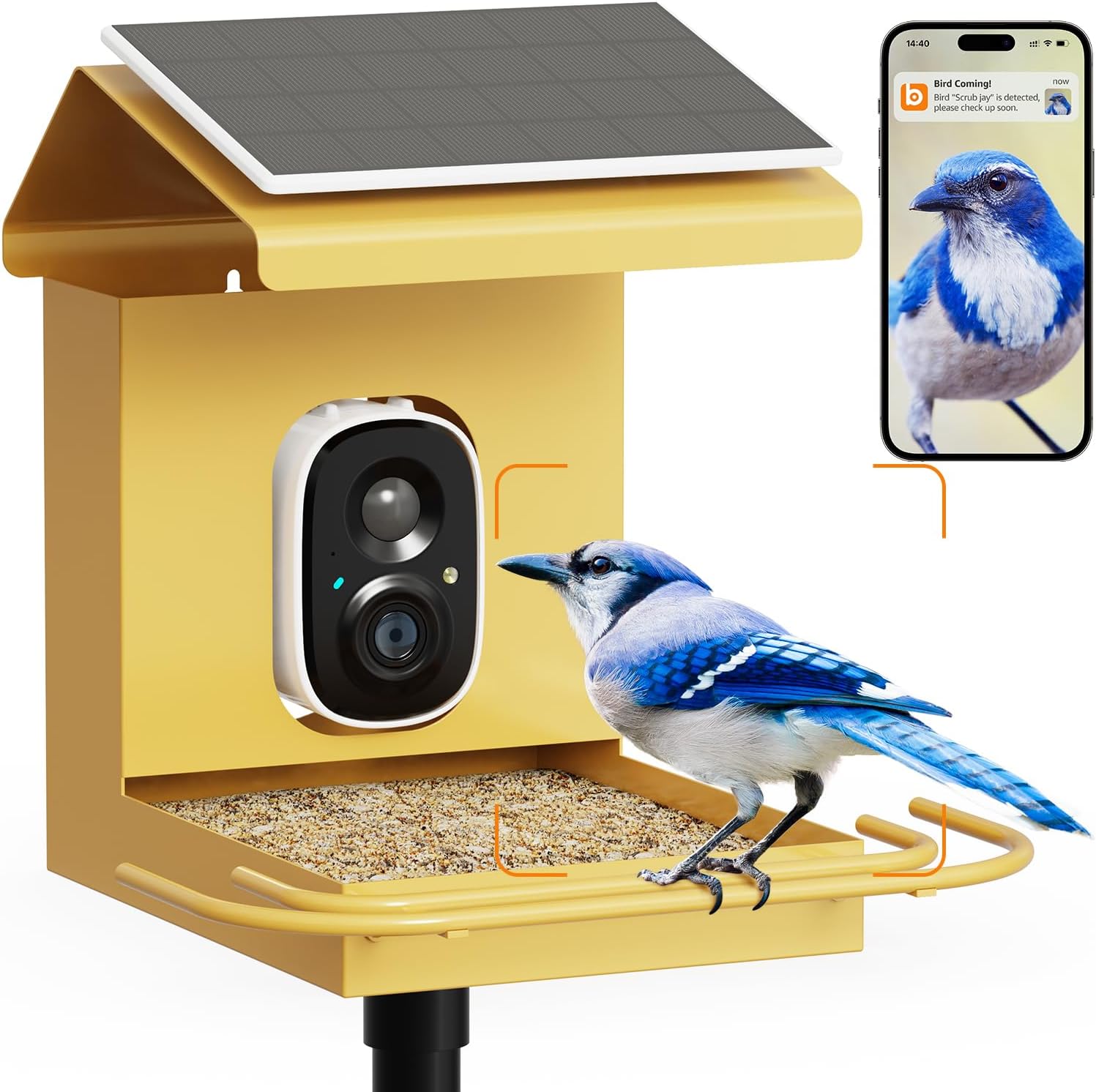 Bilantan Smart Bird Feeder: 2.5K Camera & Solar Power