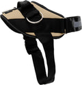 Driftwood XL Dog Harness - No-Pull Vest with 3 Leash Clips