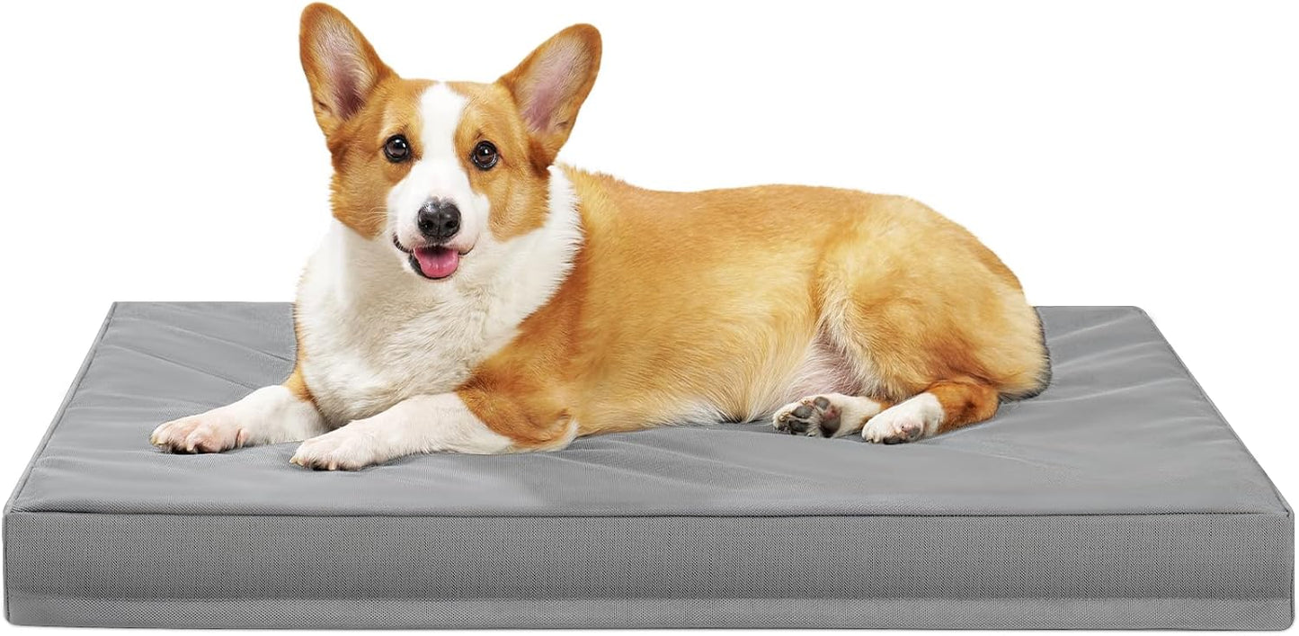 Indestructible Dog Beds for Large Dogs with Orthopedic Foam