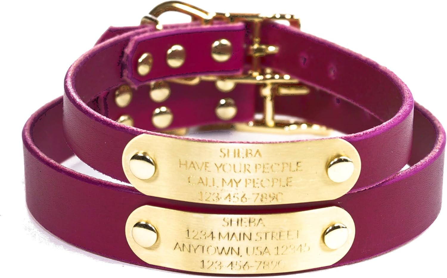 Handmade Personalized Bridle Leather Dog Collar with Nameplate