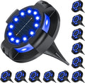 Bright Blue Solar Pathway Lights for Outdoor Walkway and Garden