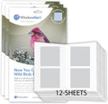 WindowAlert Classic Square Anti-Collision Decal 12 Sheet Bundle - UV