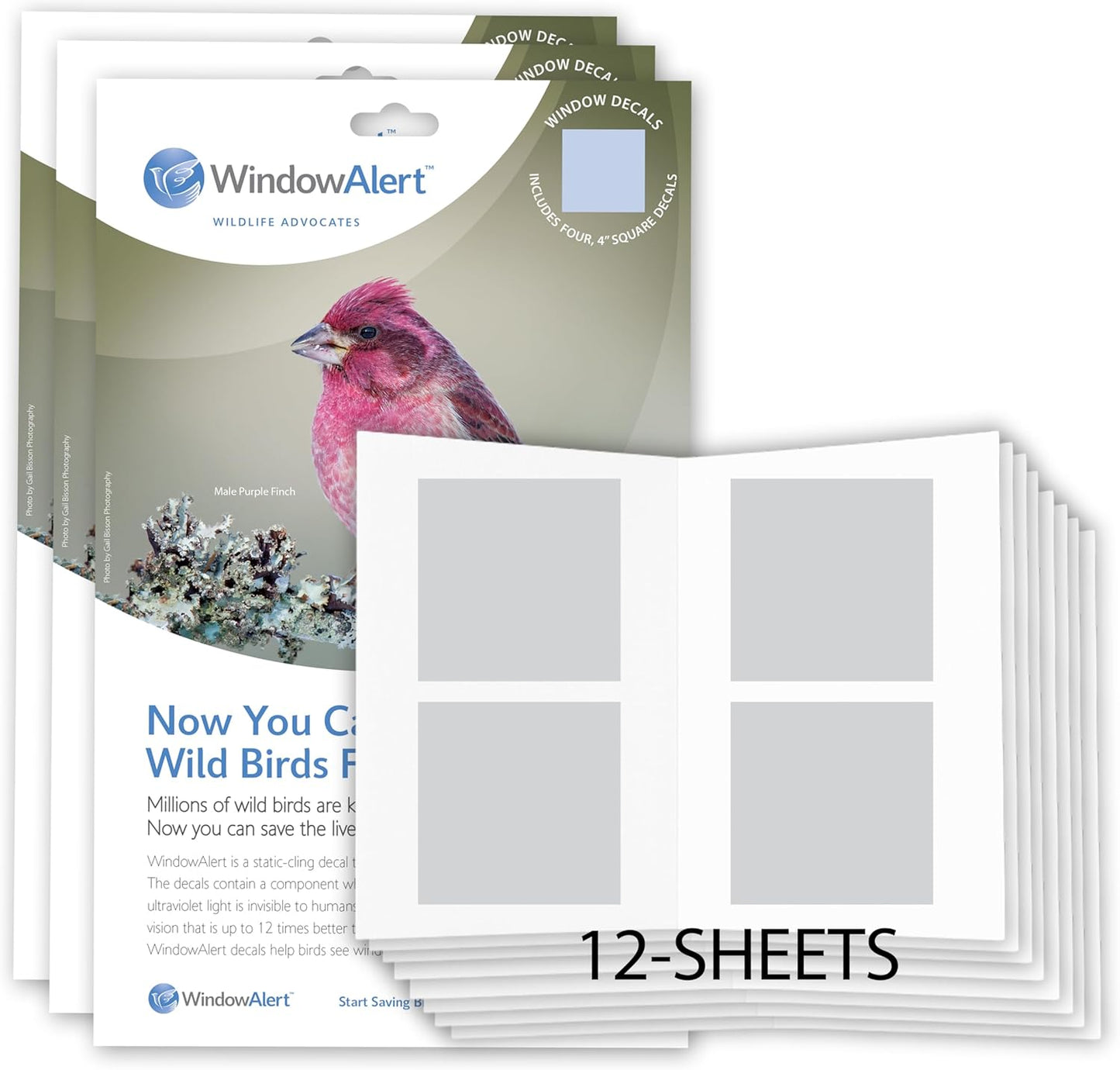 WindowAlert Classic Square Anti-Collision Decals for Bird Safety