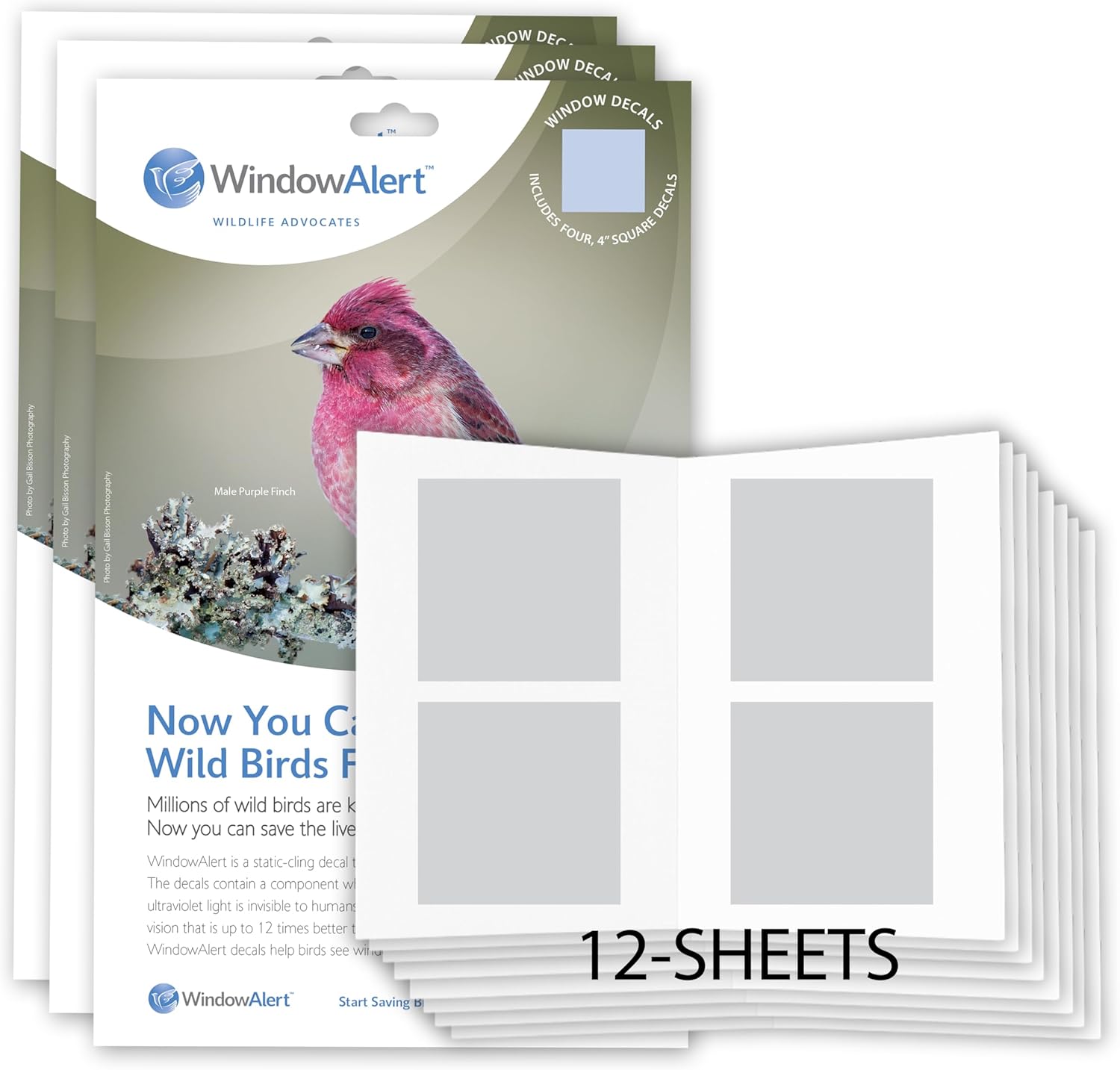 WindowAlert Classic Square Anti-Collision Decals for Bird Safety