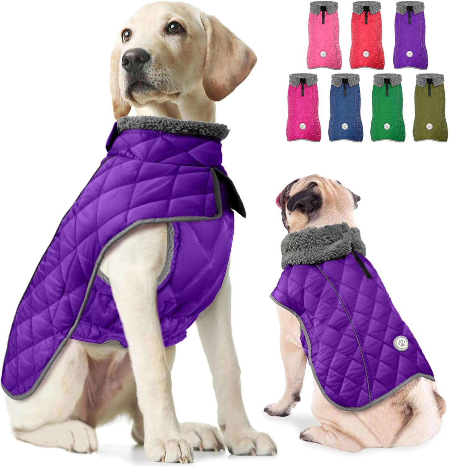 Fragralley Dog Winter Coat: Waterproof, Warm, Reflective Jacket