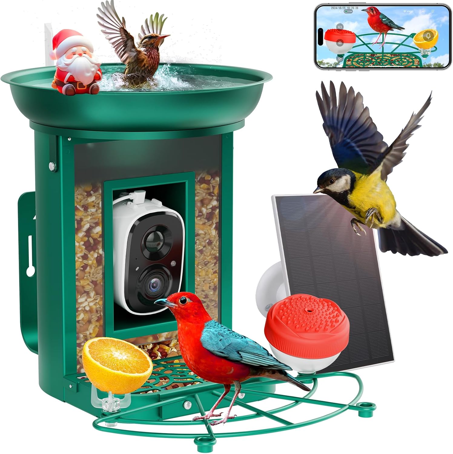 2K Bird Feeder with AI Camera | Real-Time Monitoring | IP65