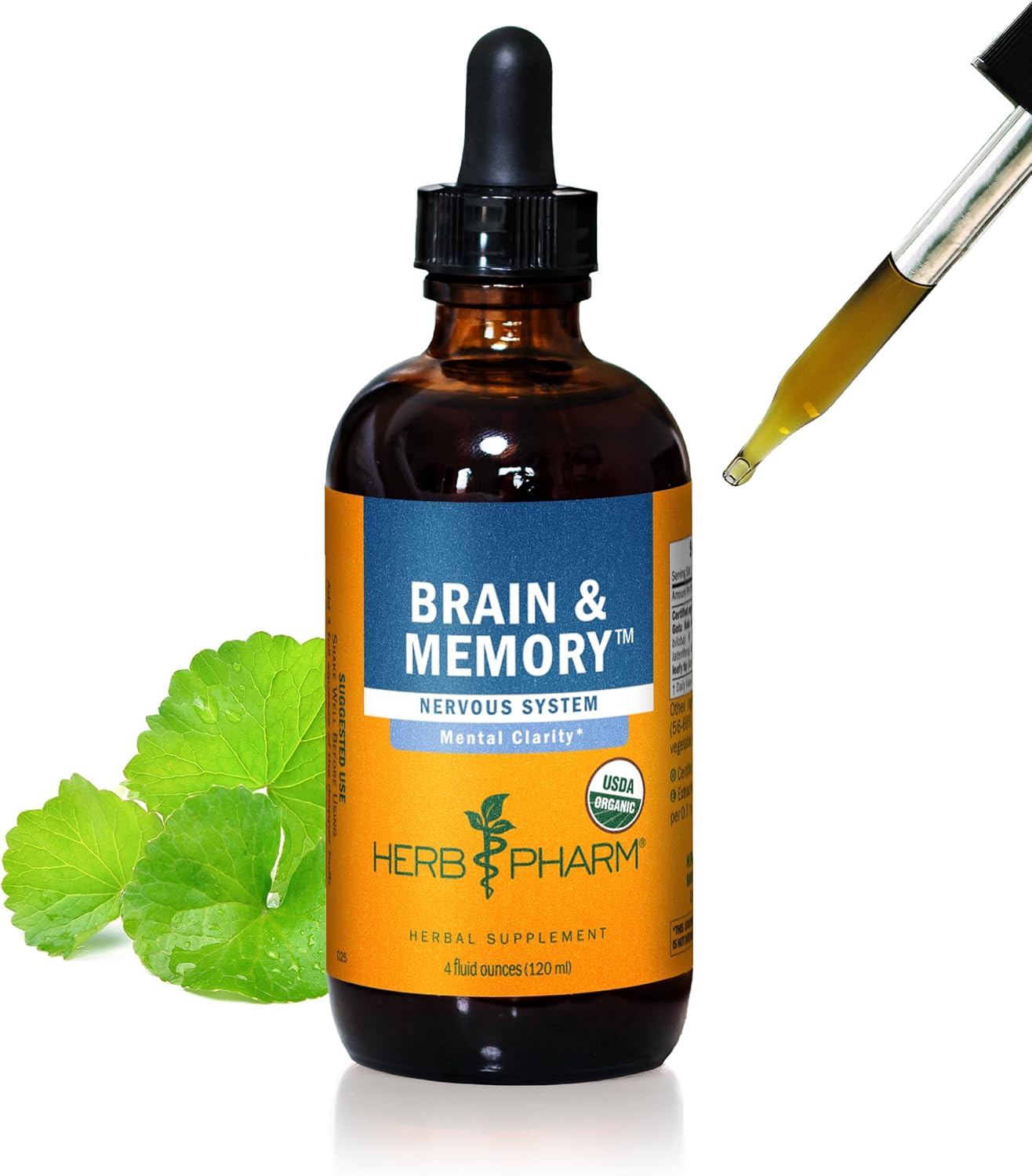 Herb Pharm Brain and Memory Liquid Herbal Formula for Focus