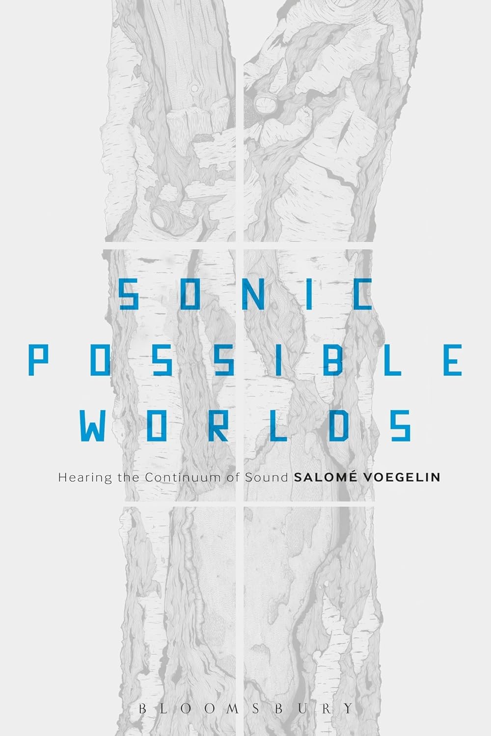 Sonic Possible Worlds: Hearing the Continuum of Sound Review