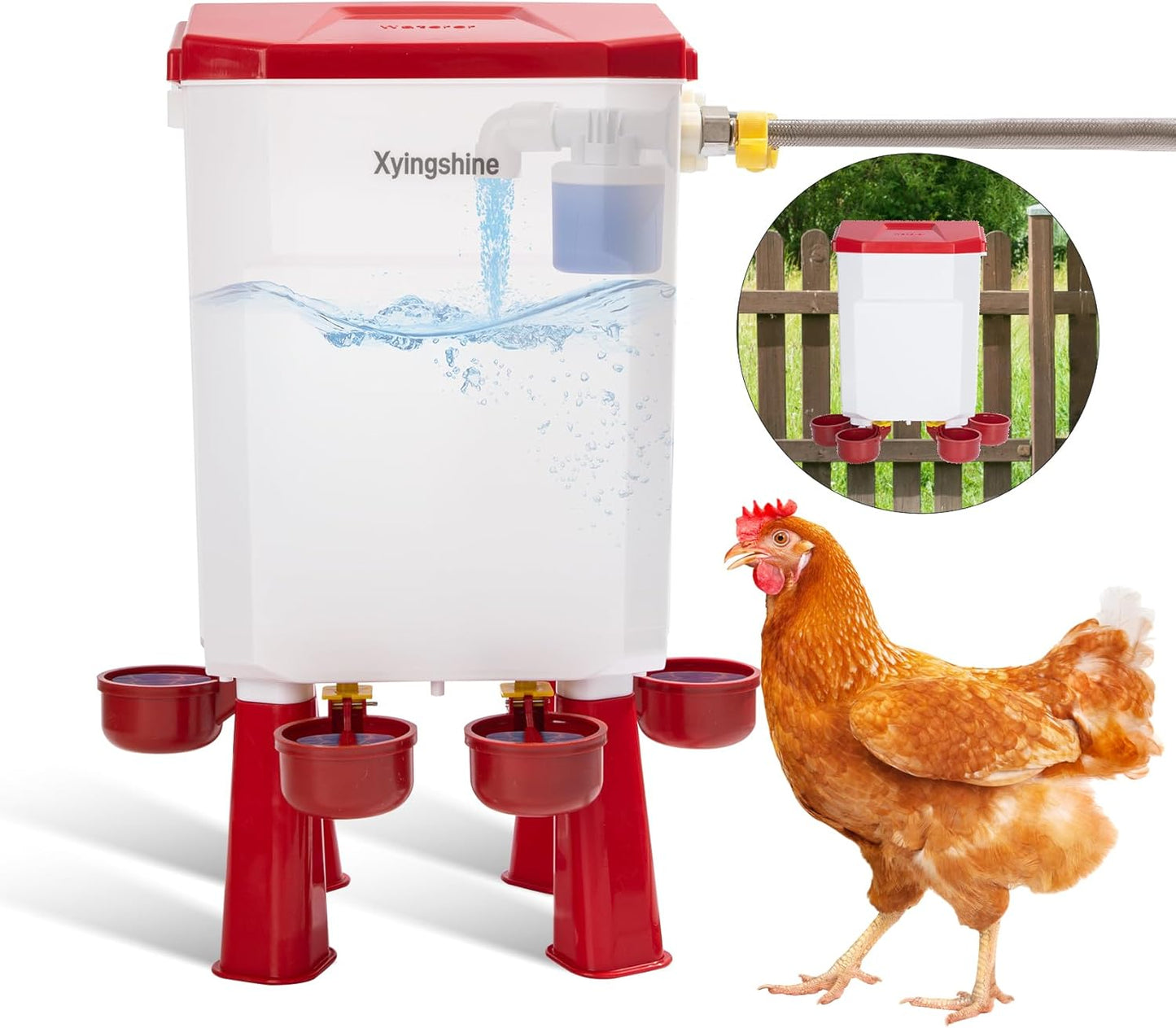 Continuous Fresh Water for Poultry - Xyingshine