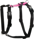 Blue-9 Buckle-Neck Balance Harness - Custom Fit No-Pull Harness