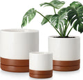 vancasso Ceramic Plant Pots Set of 3 - Modern Indoor Planters
