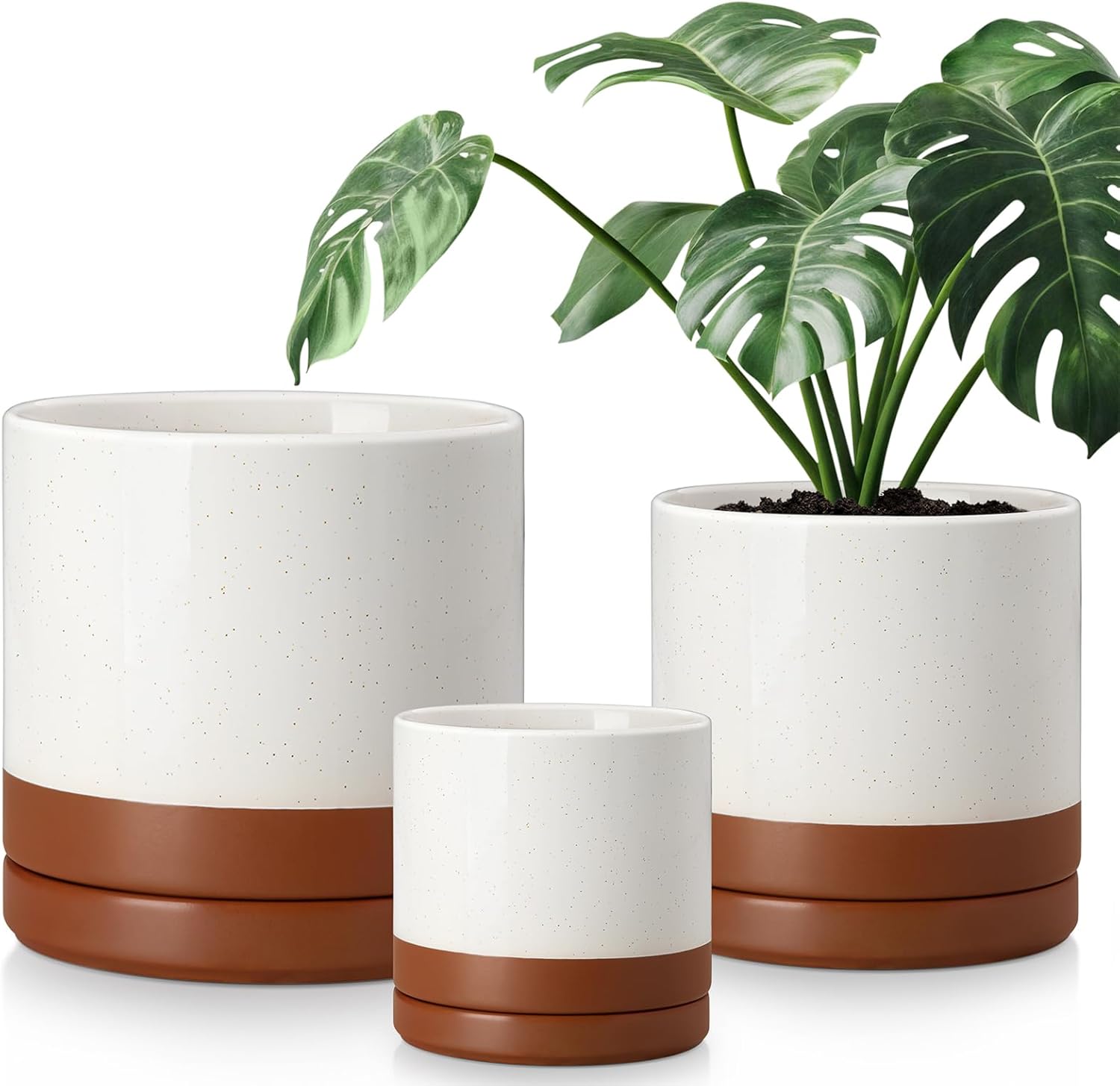 vancasso Ceramic Pots for Plants - Set of 3 Stylish Planters