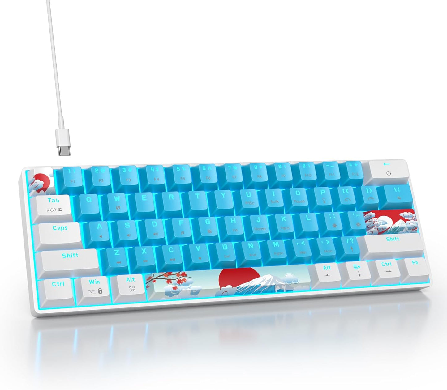 60 Percent Gaming Keyboard with RGB Backlit for PC and Laptop