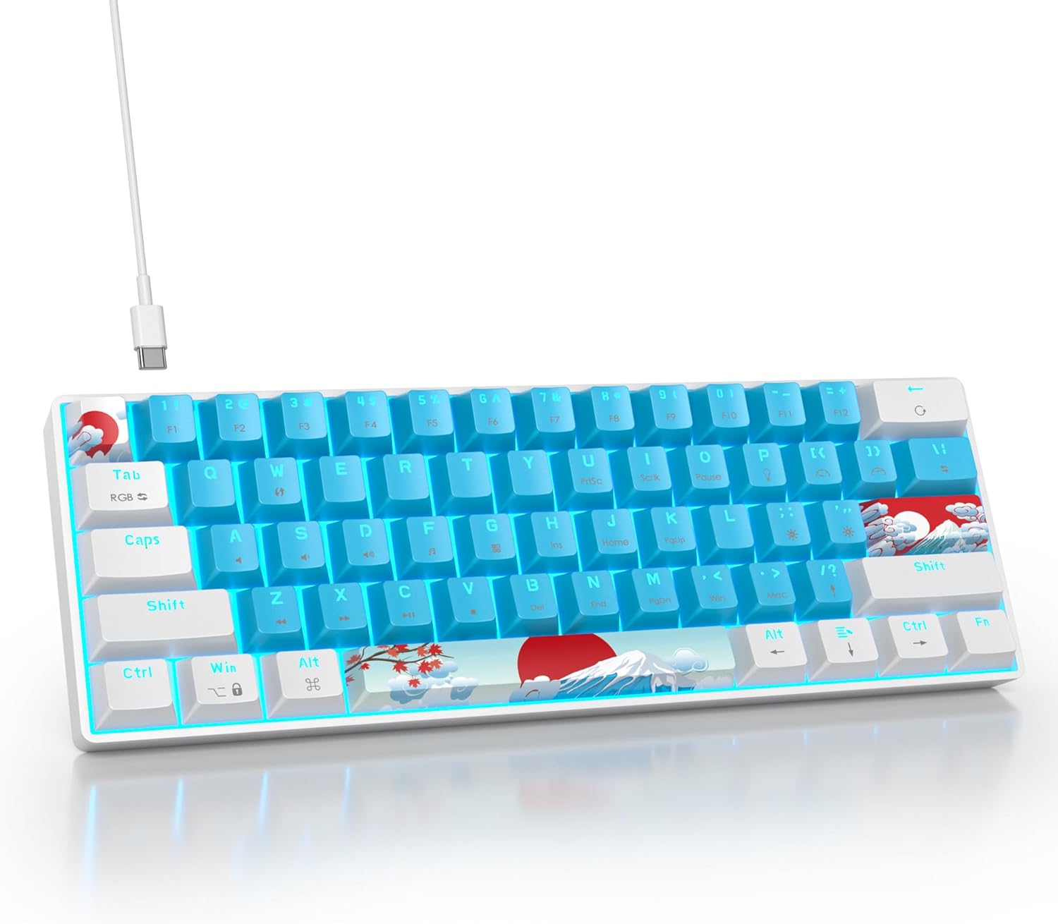60 Percent Gaming Keyboard with RGB Backlit for PC and Laptop