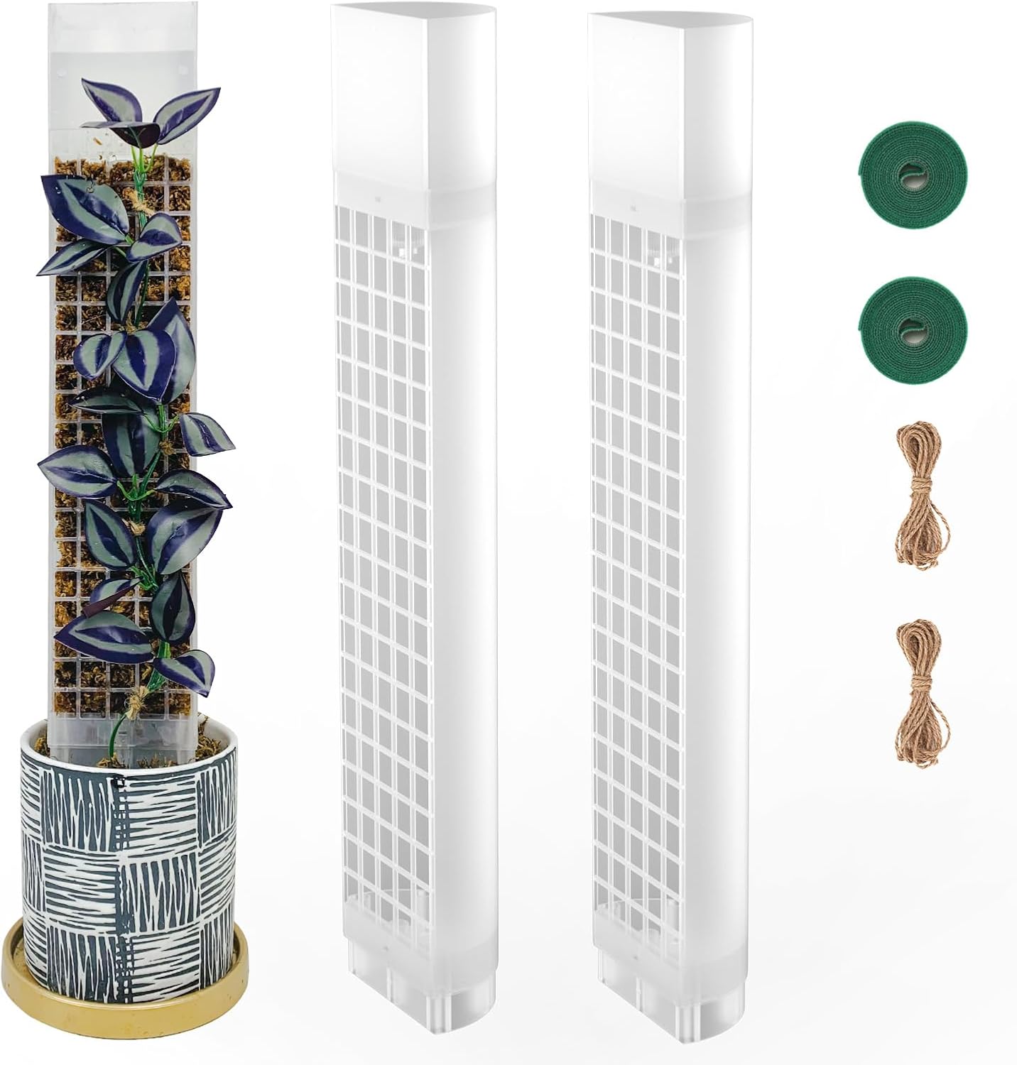 Moss Poles for Climbing Plants - Self-Watering Monstera Support
