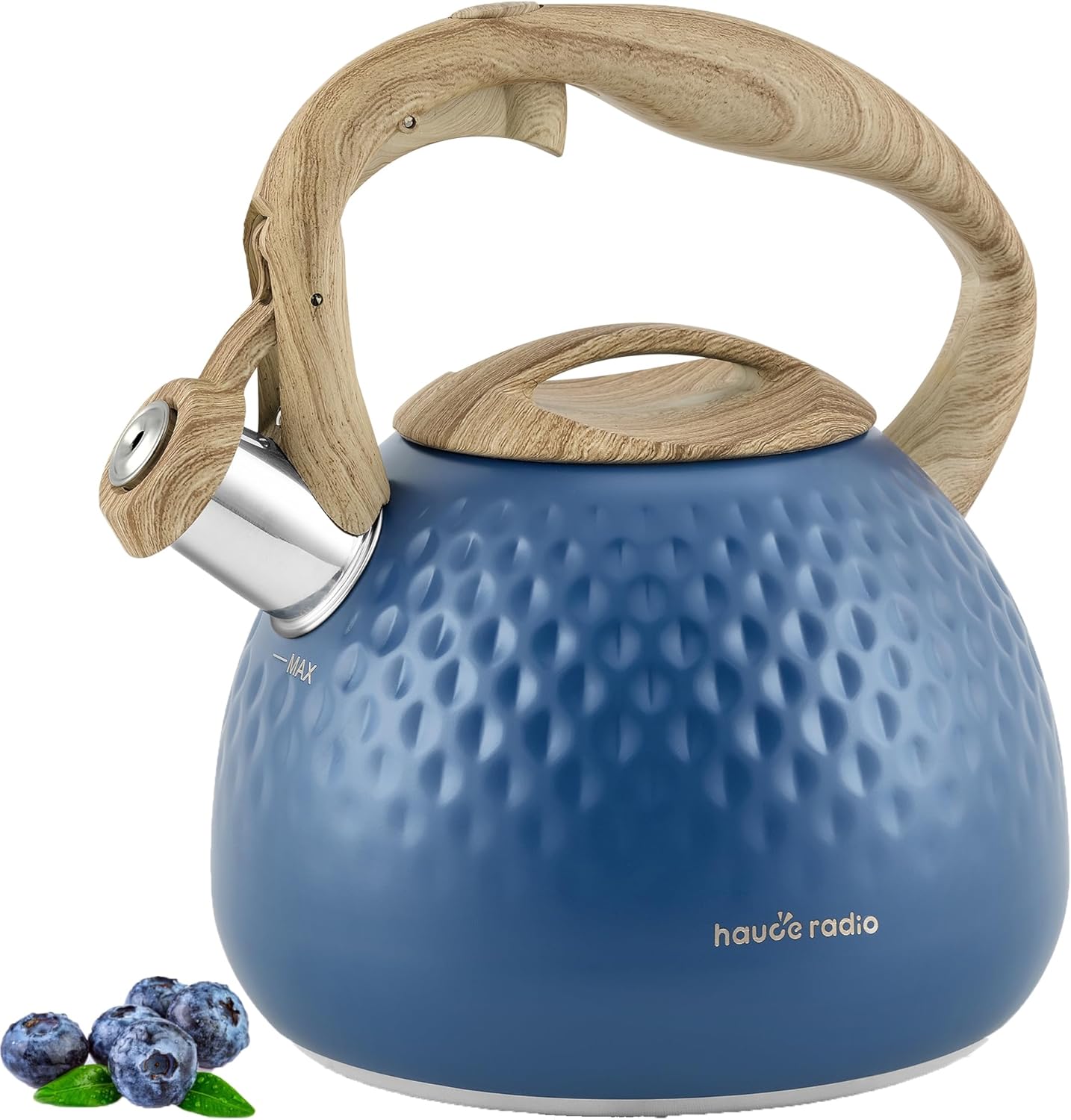 2.5 Quart Stovetop Tea Kettle with Loud Whistle and Handle