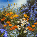 All Purpose Sun-Shade Mix Wildflower Seeds - Bulk 1 lb