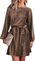 Women's Velvet Lantern Sleeve A-Line Dress - Flattering Skater Fit