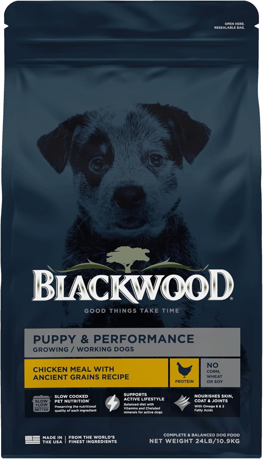 Blackwood Puppy & Performance Dry Dog Food for Active Dogs