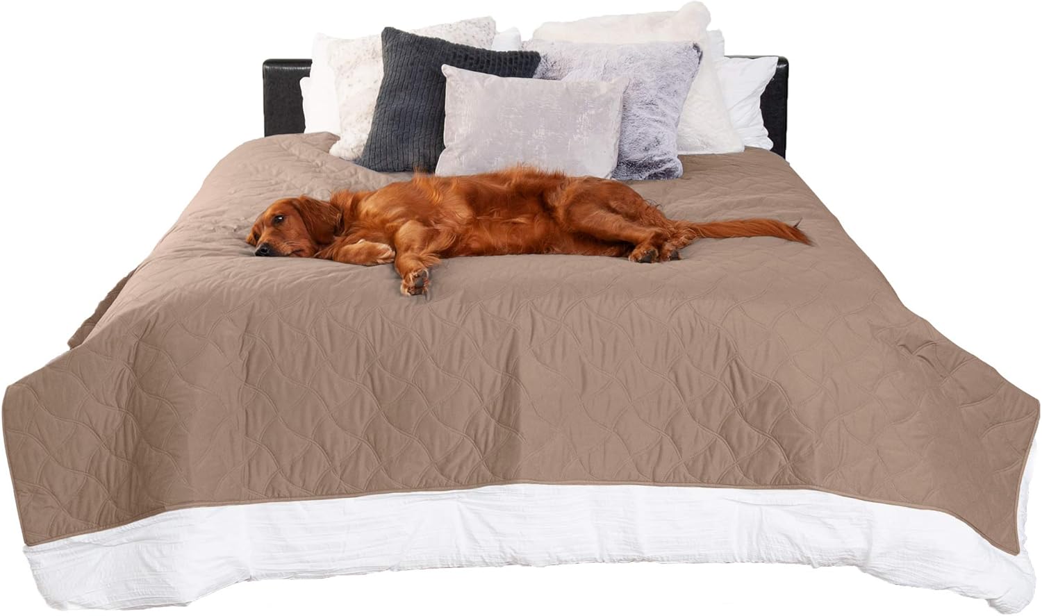 Furhaven Waterproof Non-Slip King Size Mattress Cover Protector