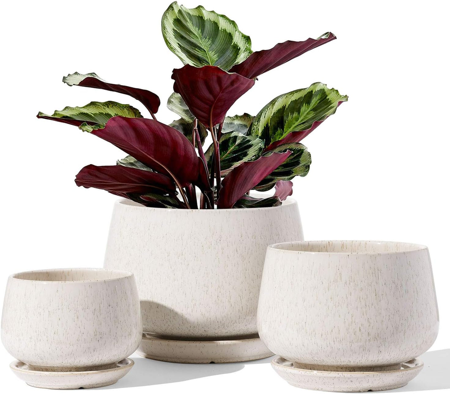 LE TAUCI Plant Pots Set of 3 with Drainage for Indoor Plants