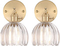 Vintage Wall Sconces Set of 2 with Transparent Tulip Glass Shades