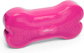 FitPAWS K9FITbone Regular Razzleberry - Dog Balance Training Tool