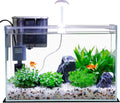 3 Gallon Glass Fish Tank Starter Kit with Filter and Lights