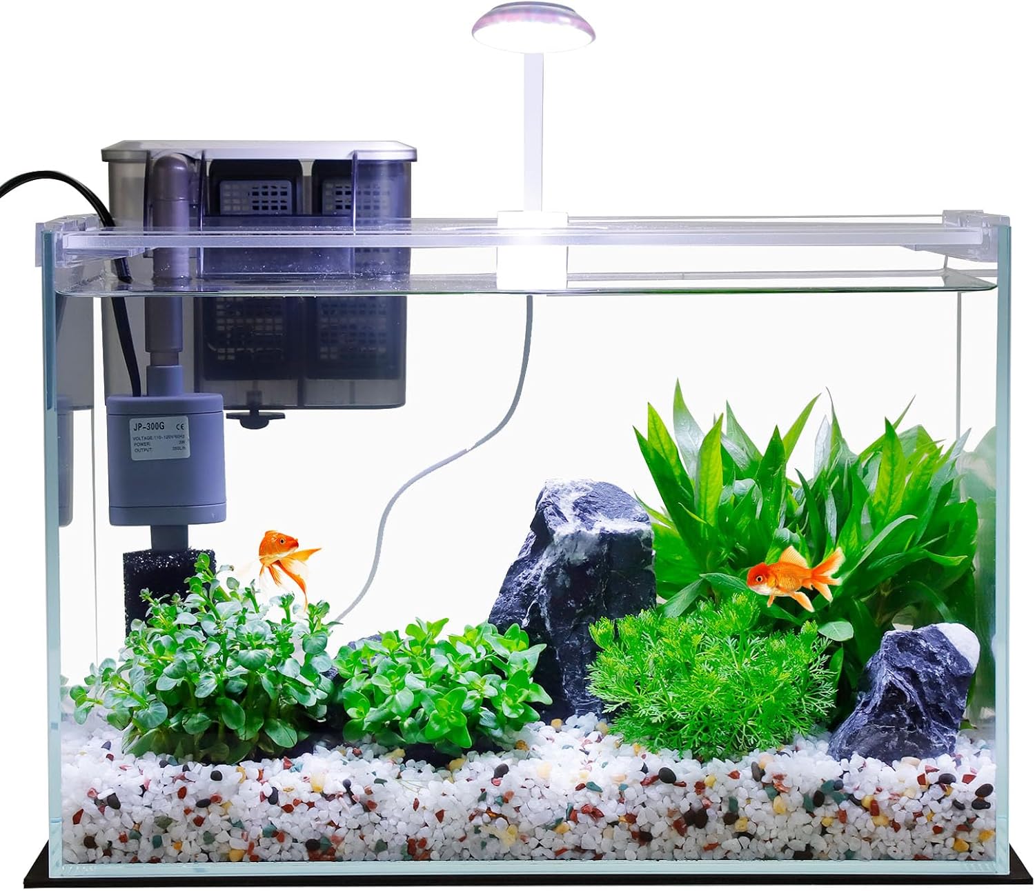3 Gallon Glass Fish Tank Starter Kit with Filter and Lights