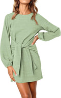 PRETTYGARDEN Womens Fall Lantern Sleeve Short Dress - Tie (Style XTRG)