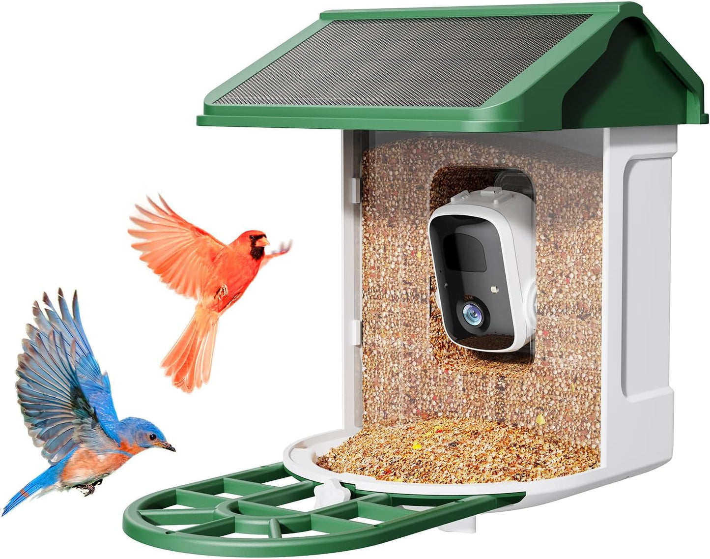 Smart Bird Feeder with 2K Camera - Identify Species, Live Alerts, Solar Powered, Wireless