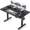 BANTI 48 24 in Standing Desk - Smooth Electric Height Adjustment