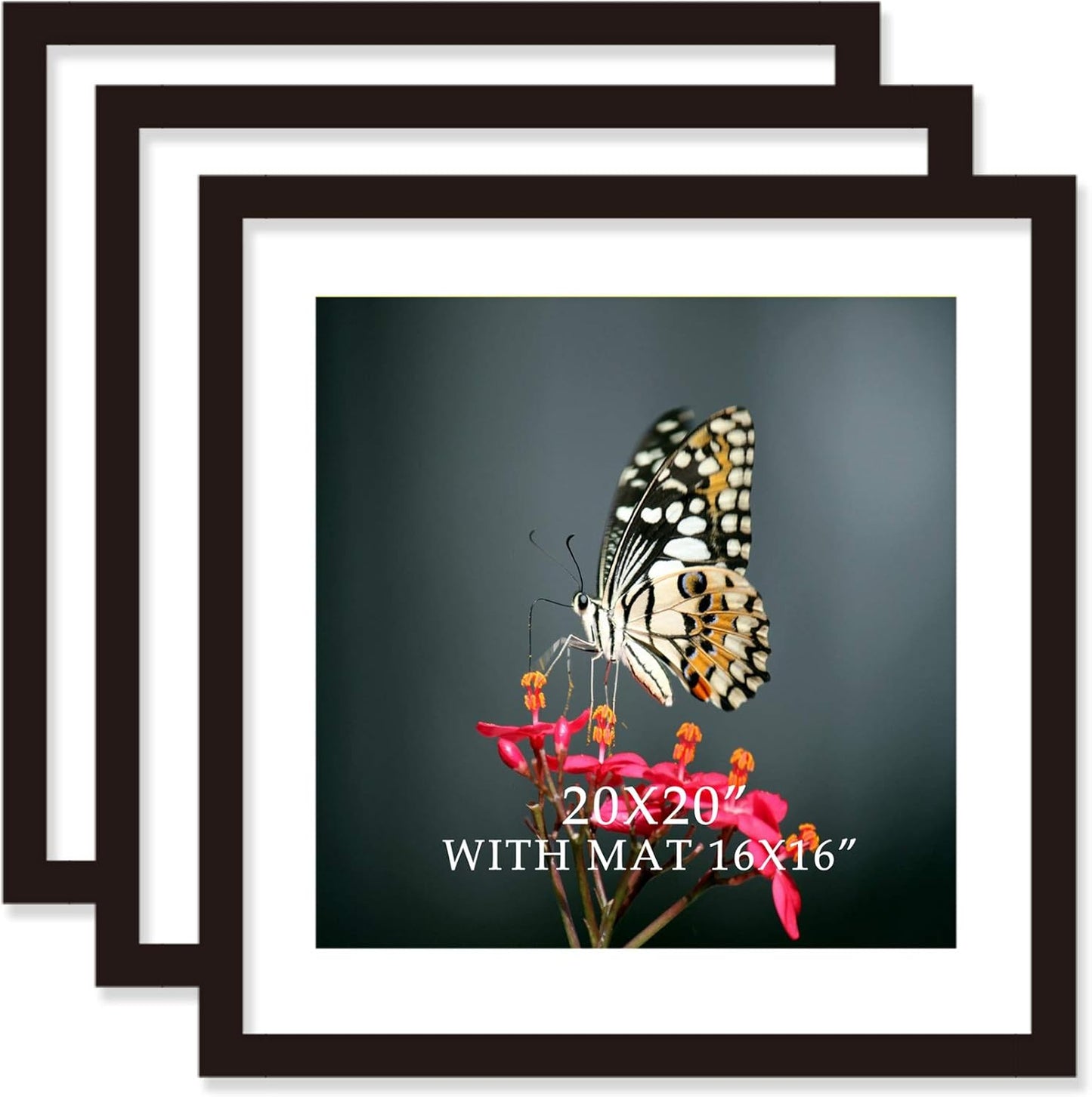 20x20 Solid Wood Picture Frames with Mat for Stunning Displays