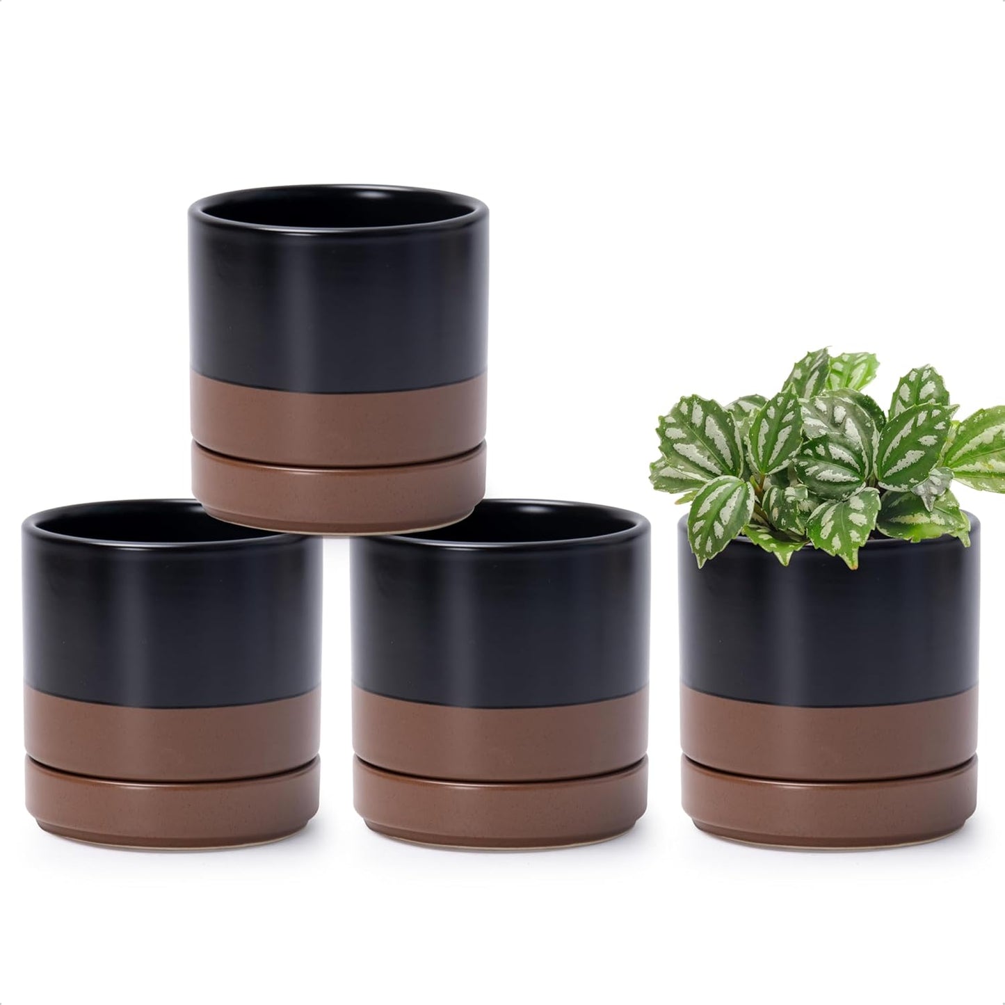 D'vine Dev Set of 4 Small Ceramic Plant Pots for Succulents