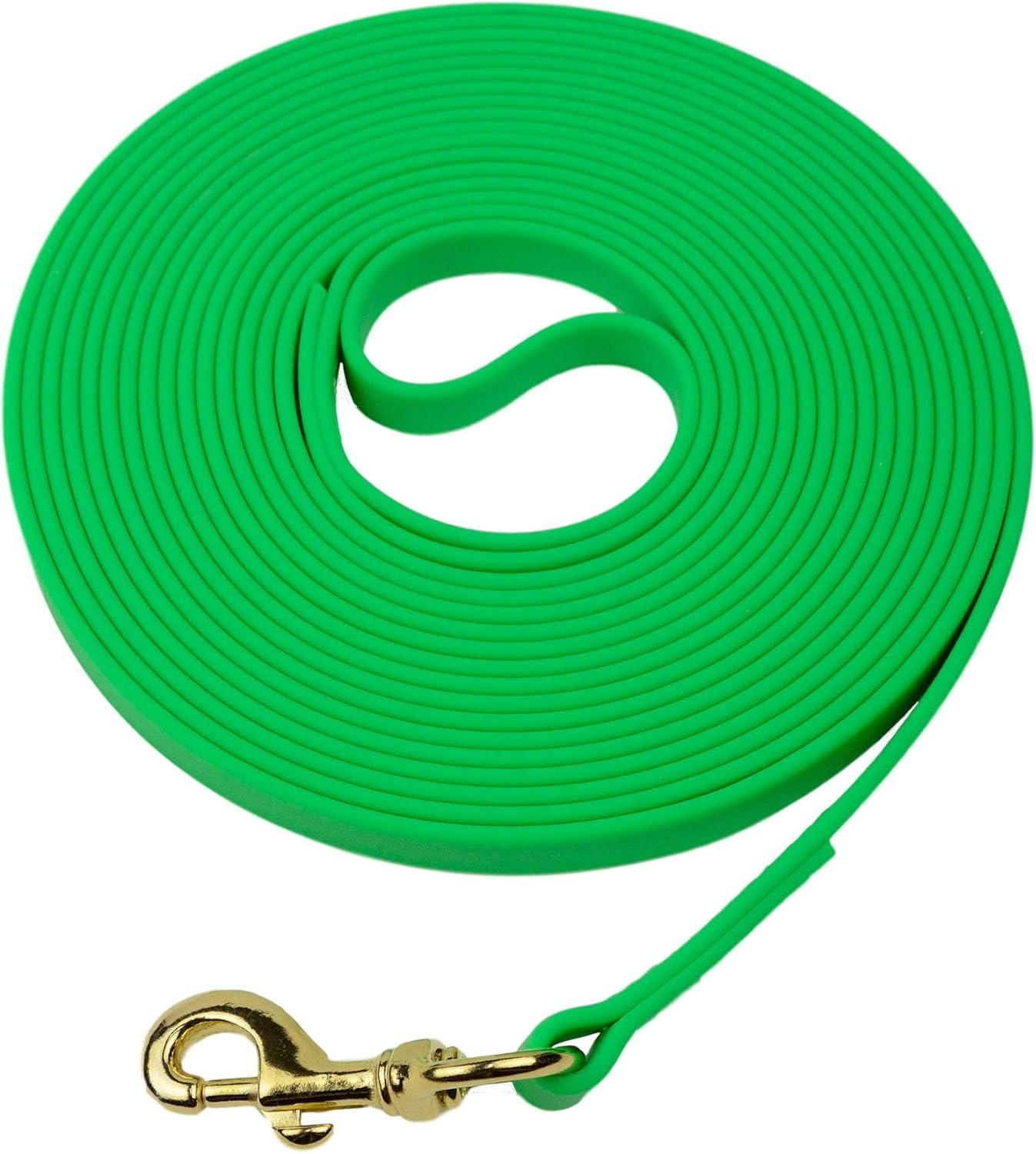 Biothane Waterproof All Weather Dog Leash with Brass Hardware
