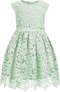 Elegant A-Line Lace Party Dress for Girls Perfect for Occasions