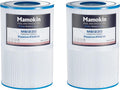 Oval Spa Filter PDM30 Replaces Dream Maker Hot Tubs Filters - 2 Pack