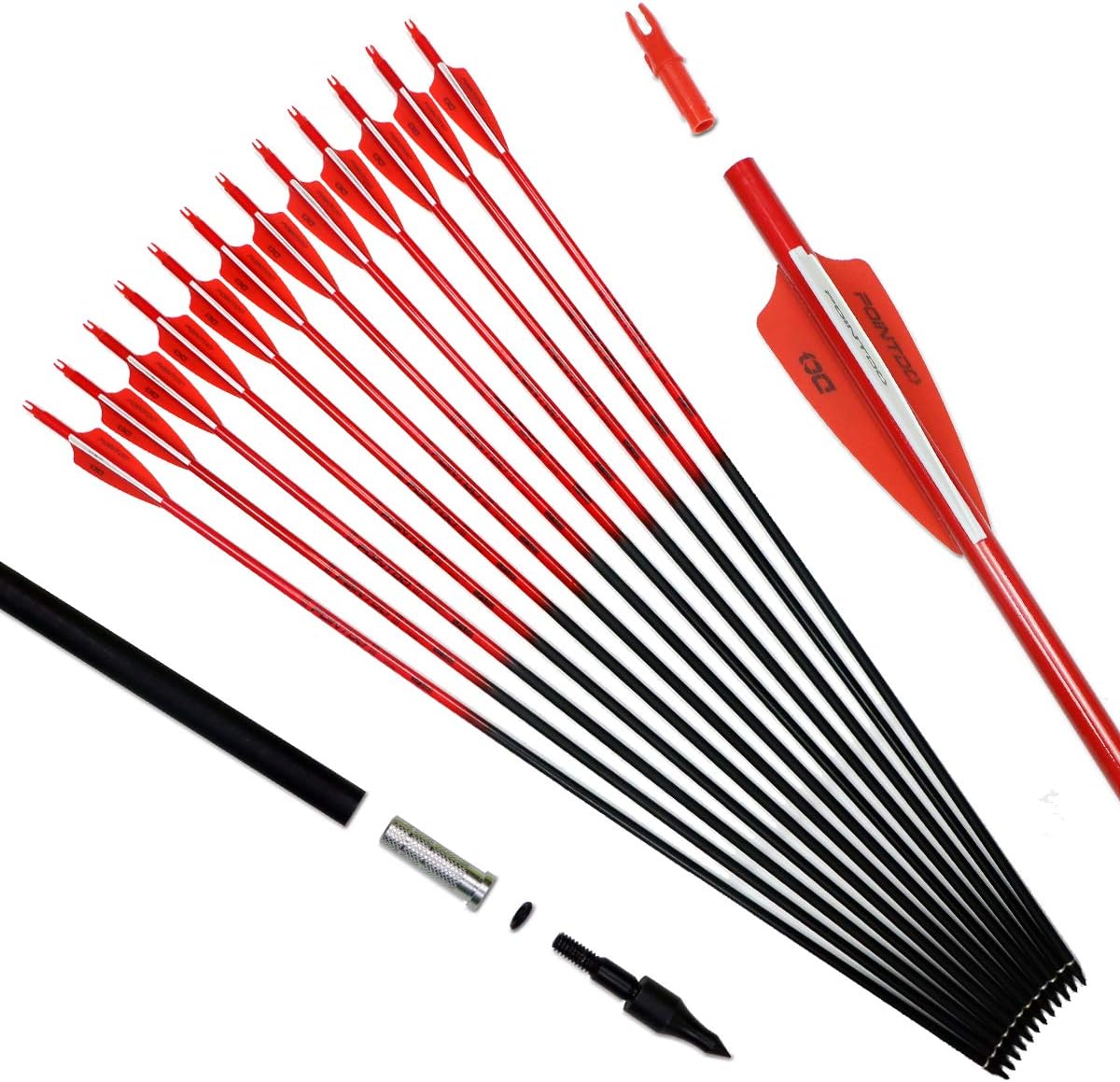 30inch Carbon Arrows for Target Practice and Hunting - Pack of 12