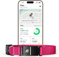 Smart Dog Tracker Collar GPS Series 3+ - Reliable Location & Health