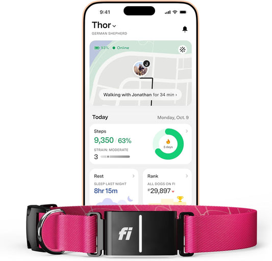 Fi New Series 3+ Smart Dog Collar - GPS Tracker & Fitness Monitor