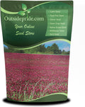 Crimson Clover Seeds 40 lbs - High Protein Forage & Cover Crop
