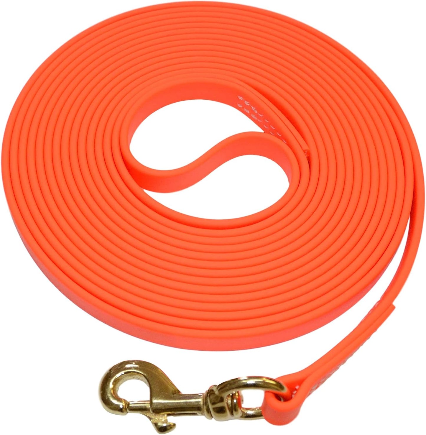 Biothane Waterproof All Weather Dog Leash with Brass Hardware