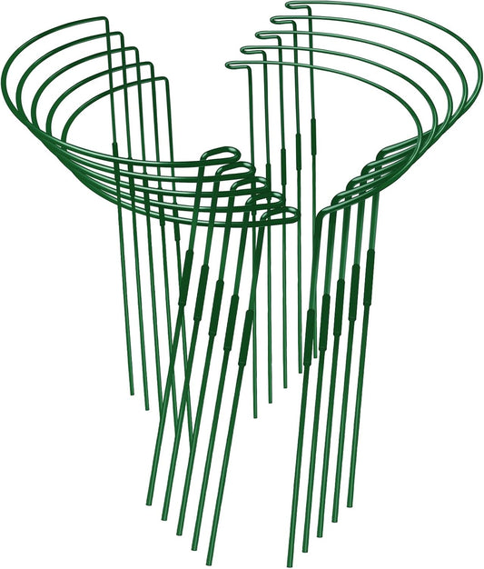 10-Pack Adjustable Height Snake Plant Support Stakes for Indoor Use