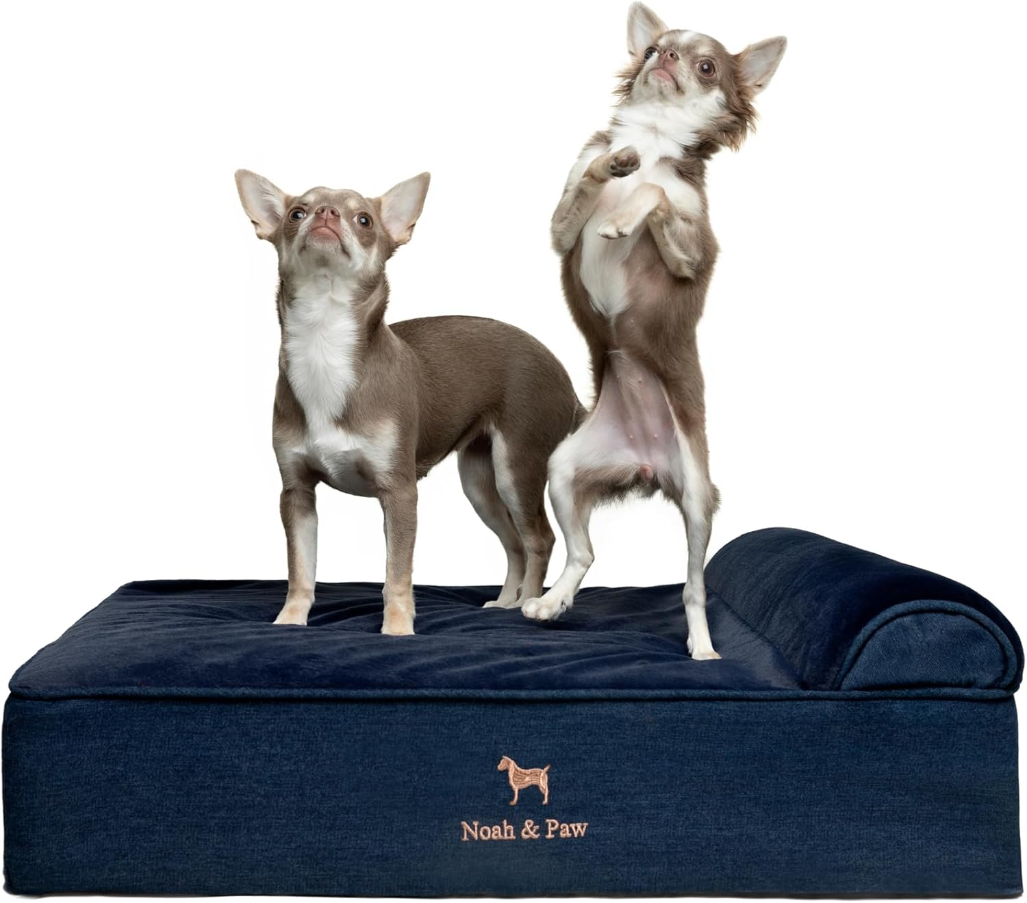 Orthopedic Dog Bed with Cooling Gel for Medium Size Pets