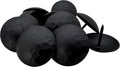 1.5 in Iron Clavos Decorative Nails 50 Pack - Matte Black Accent