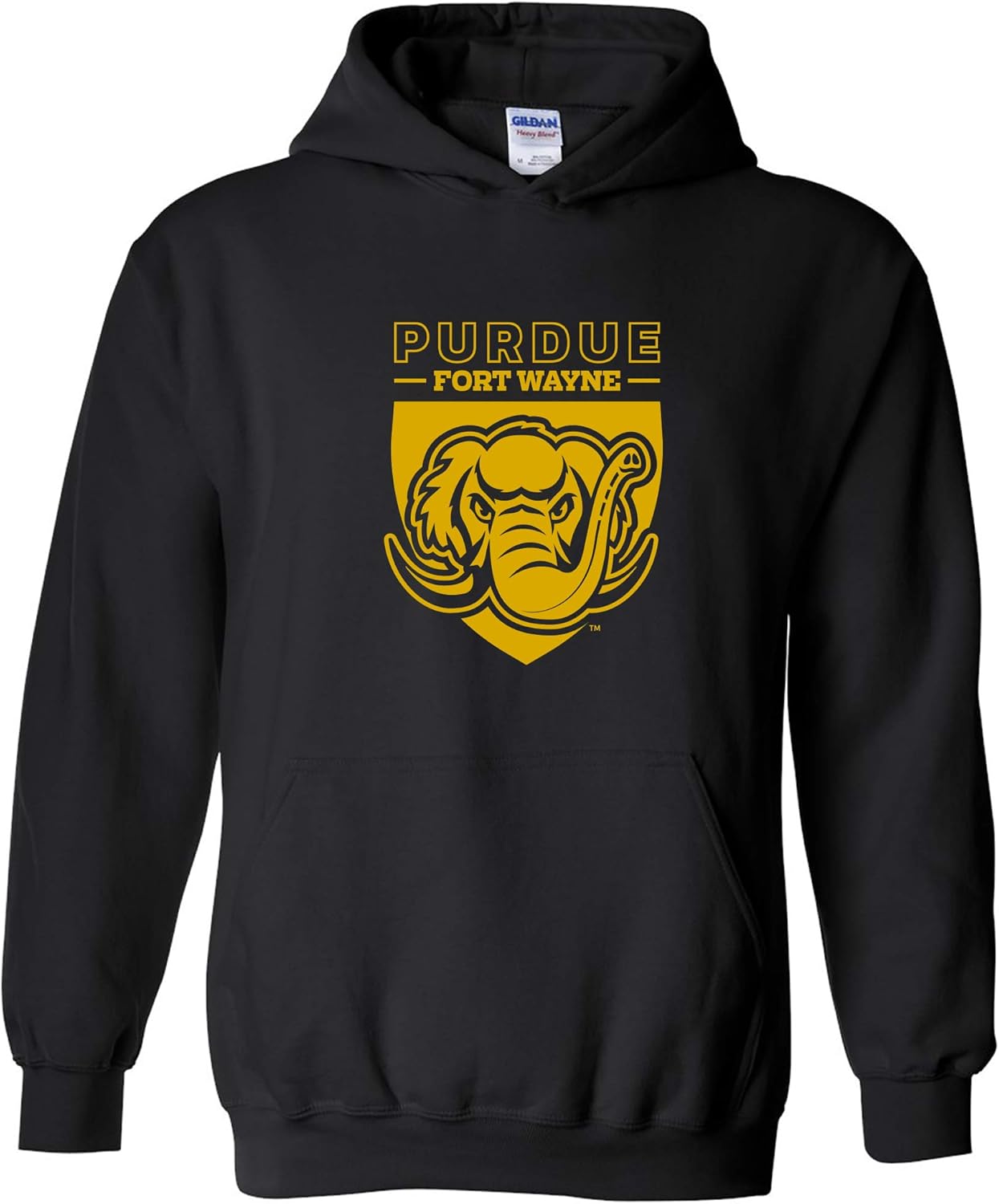 UGP Campus Apparel NCAA Primary Logo Hoodie for School Spirit